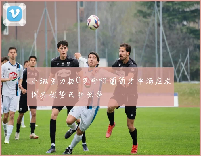 小豌豆力挺C罗呼吁葡萄牙中场应发挥其优势而非竞争