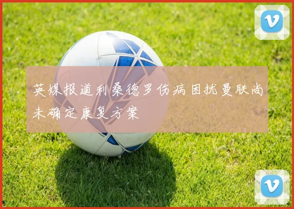 英媒报道利桑德罗伤病困扰曼联尚未确定康复方案