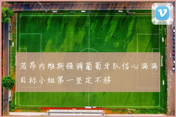 若昂内维斯强调葡萄牙队信心满满目标小组第一坚定不移
