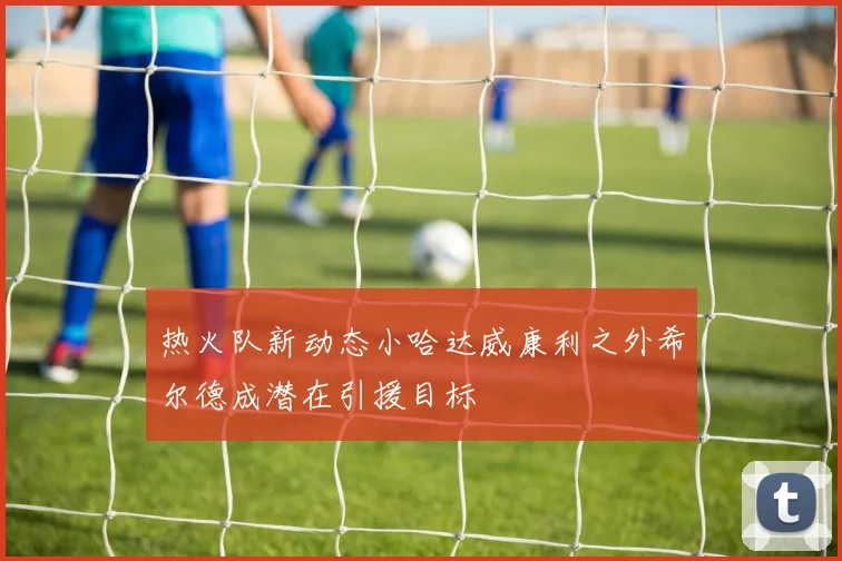 热火队新动态小哈达威康利之外希尔德成潜在引援目标