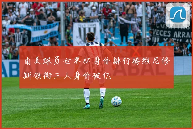 南美球员世界杯身价排行榜维尼修斯领衔三人身价破亿